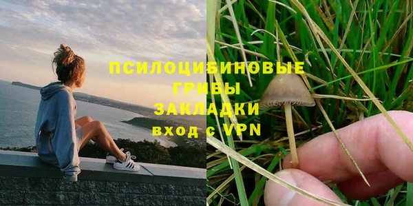 герыч Алексин
