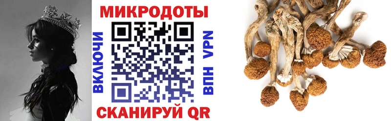 Купить  Мамадыш  Псилоцибиновые грибы Magic Shrooms 